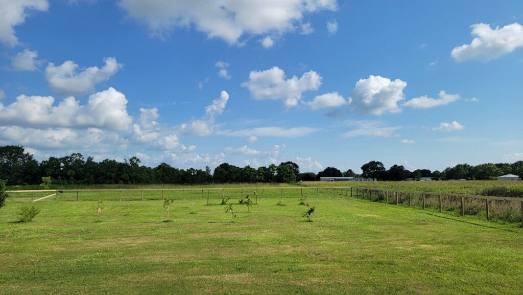 Wire Farm Fence Installation in Lafayette LA by Lafayette Fence and Gate Company